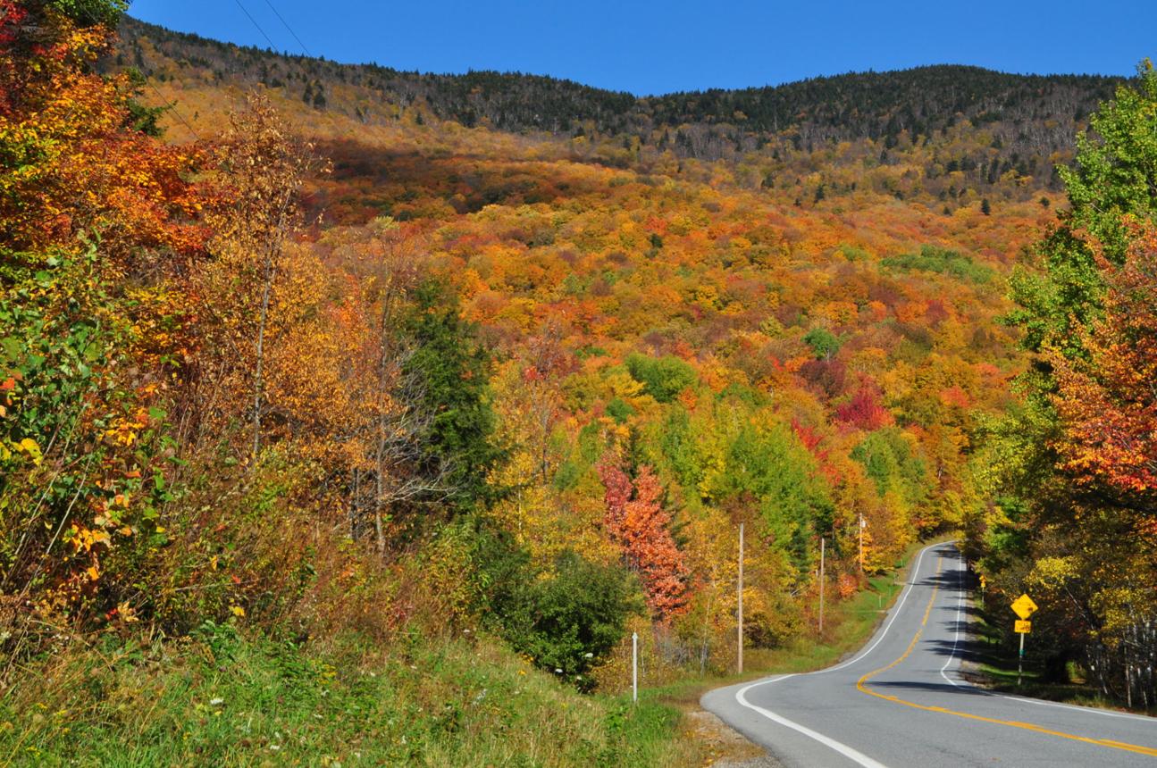 Exploring the Beauty of Scenic Drives Through the Green Mountains 14 GMNF2